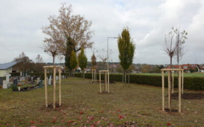 Neugestaltung des Friedhofs in Hummelsweiler