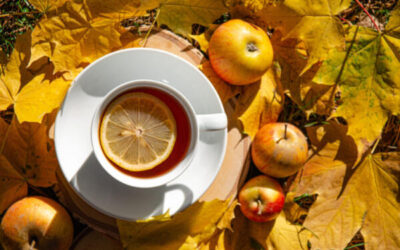 Veranstaltungen im und ab November 2025 Honhardt