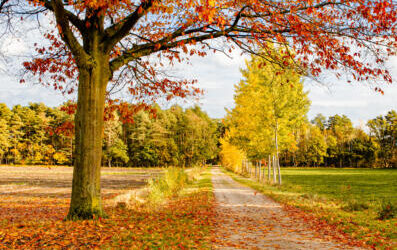 Neues aus Honhardt KW 48/49 mit Ergänzungen