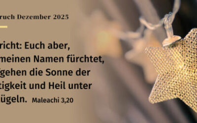 Neues aus Honhardt KW 50/51