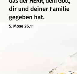 Neues aus Honhardt KW 8/9