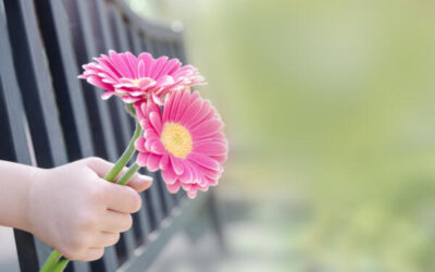 Neues aus Honhardt KW 17/18